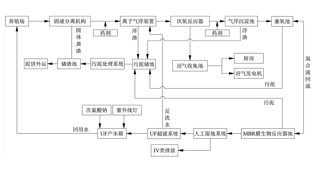 農村養(yǎng)殖戶如何低成本有效處理污水，這兩種做法你應該知道!02