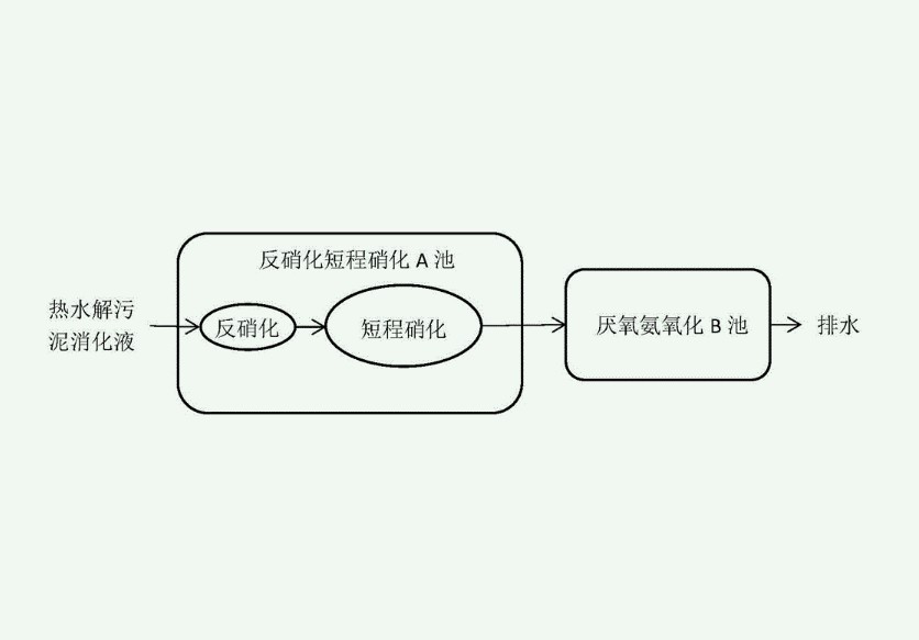 短程硝化反硝化原理（短程硝化反硝化和厭氧氨氧化區(qū)別）